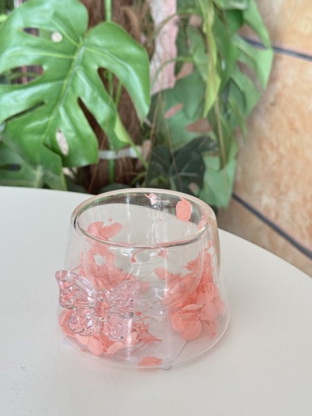 فنجان دبل جلاس يد فراشة