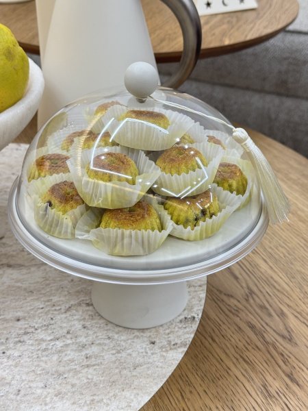 مضيفة معدن وغطاء اكريلك