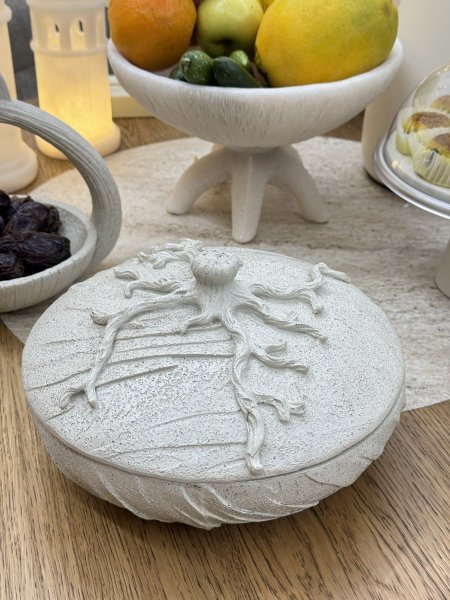 مضيفة حجر مع غطاء