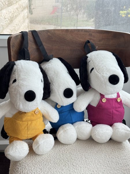 شنطة ضهر سنوبي