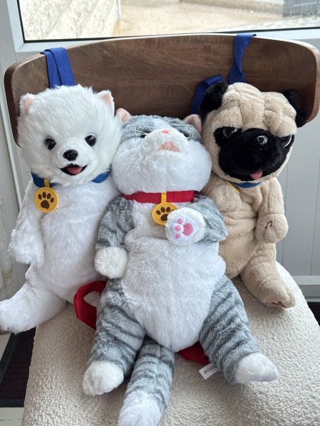 القطة والكلب الناطق