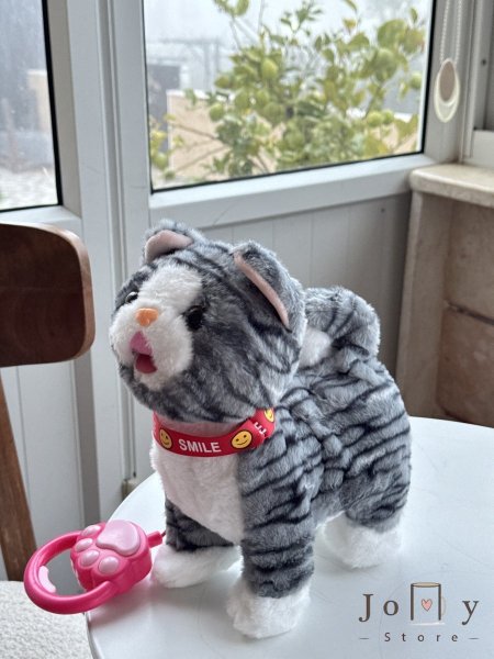 الحجم الصغير سكني