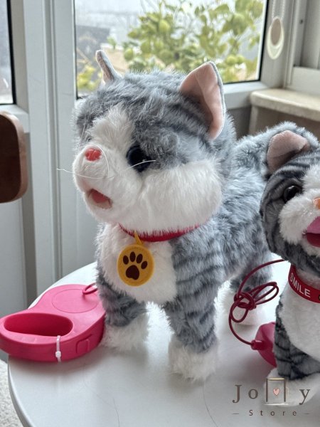 الحجم الكبير سكني