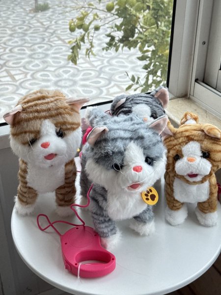 القطة المتكلمة