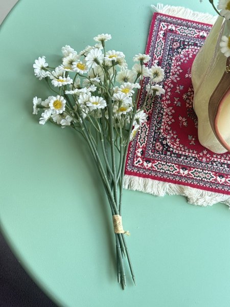 عرق زهرة الربيع